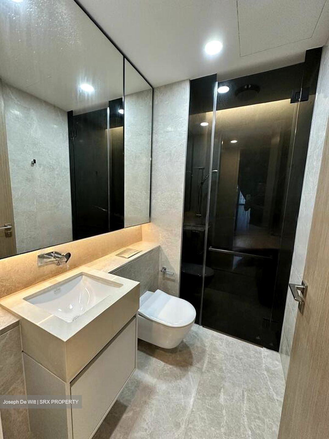 Amber Park (D15), Condominium #549691591
